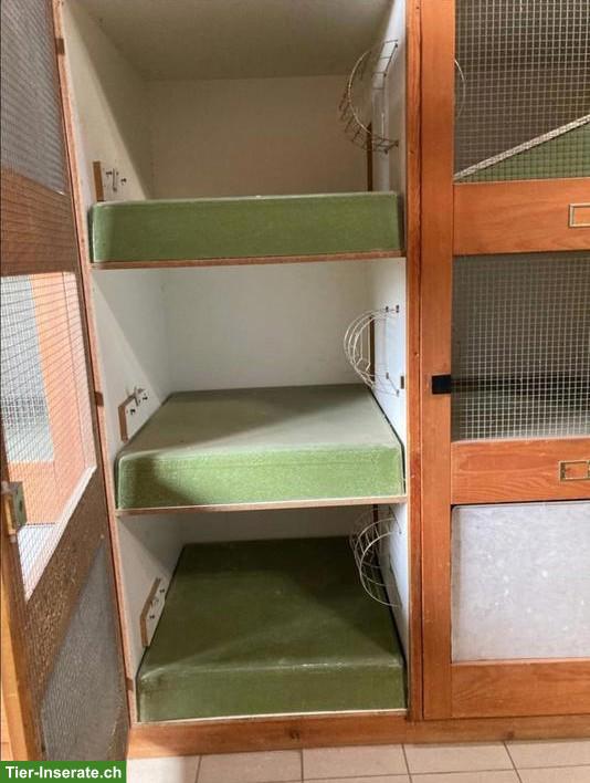 Bild 2: Kaninchenstall für grosse Rassen, 6 Einzelboxen