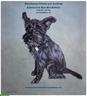 Tierportrait zeichnen lassen - professionelle Tierportraitmalerei