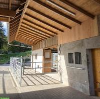 Auslaufbox in Schlossrued AG mit grossen Weiden & Sandplatz