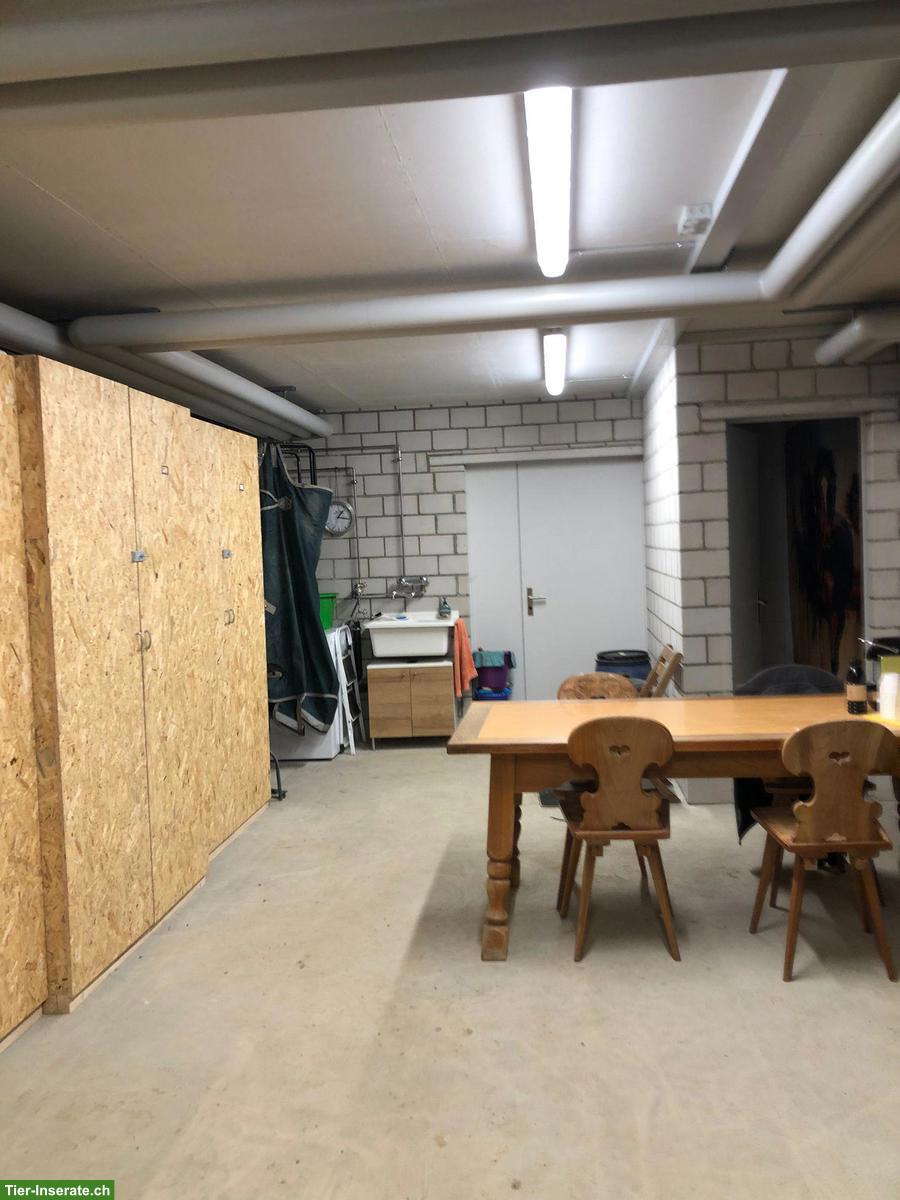Bild 6: Auslaufbox in Schlossrued AG mit grossen Weiden & Sandplatz