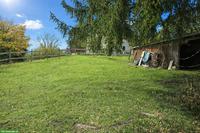 Offenstall für bis zu 4 Kleinpferde 🐴 zu vermieten