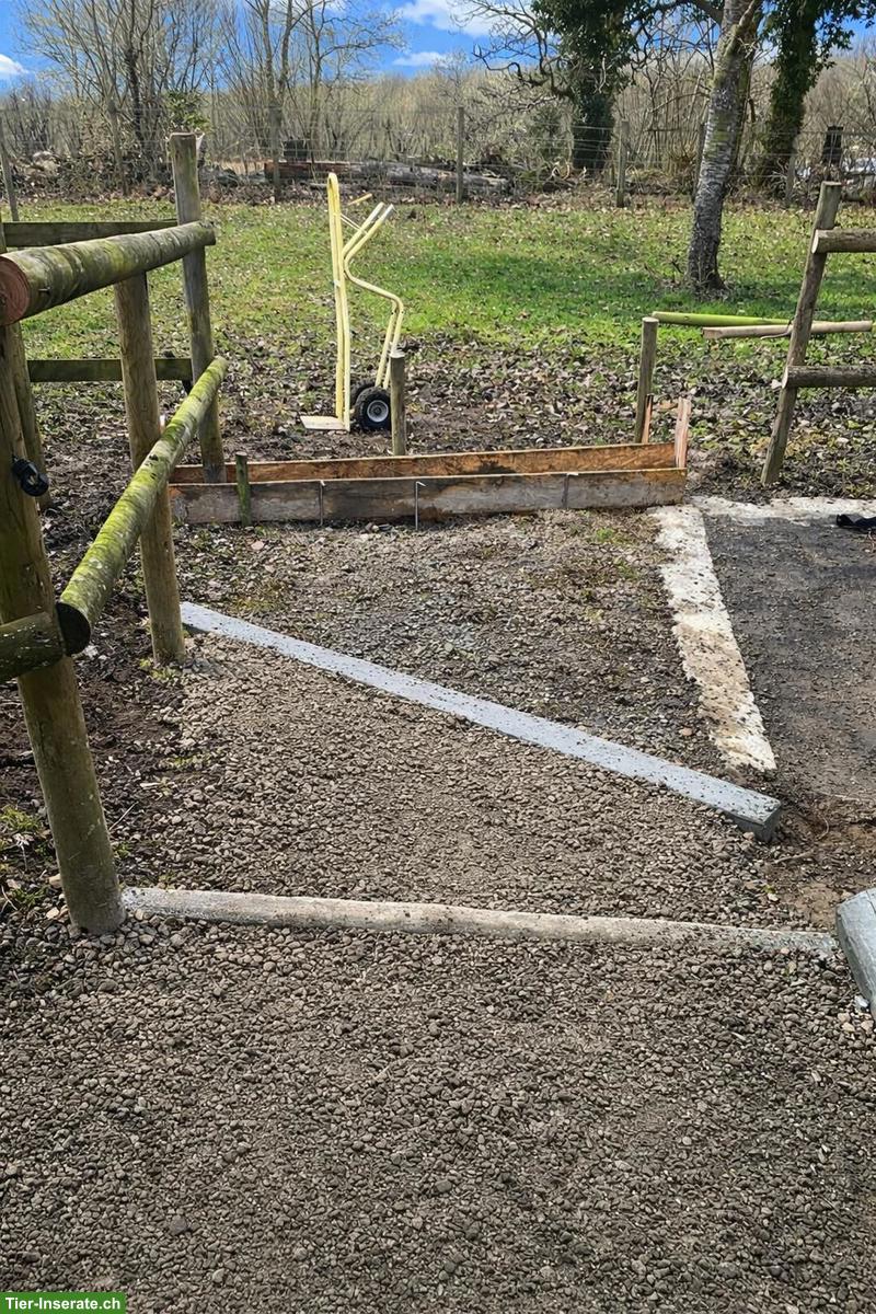 Bild 4: Offenstall für bis zu 4 Kleinpferde 🐴 zu vermieten