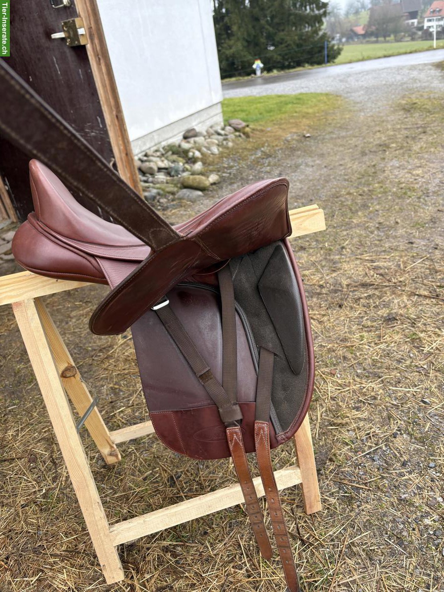 Bild 4: Bates Dressursattel Isabell Werth 17.5 Zoll