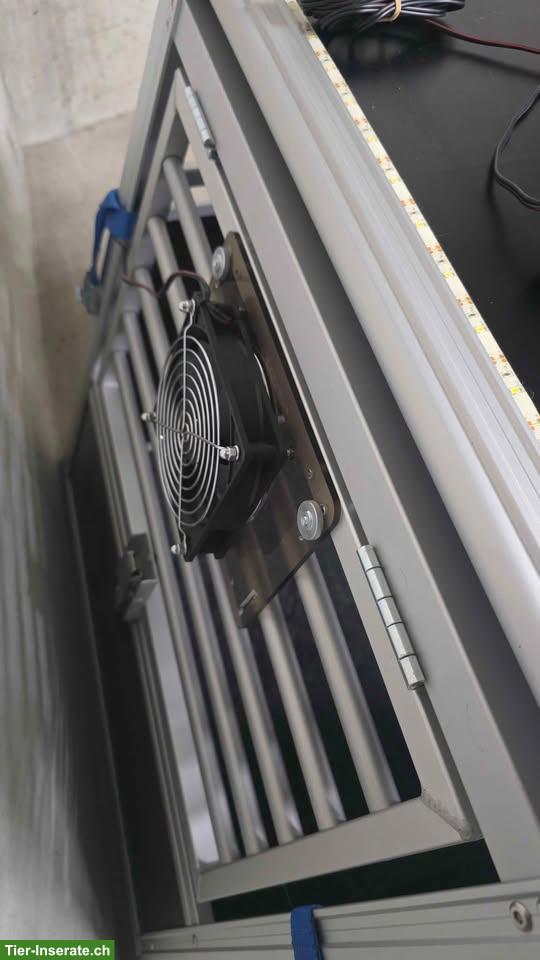 Bild 2: Hundetransportbox fürs Auto, hochwertig, komplett ausgestattet