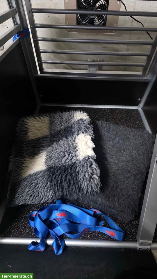 Bild 3: Hundetransportbox fürs Auto, hochwertig, komplett ausgestattet