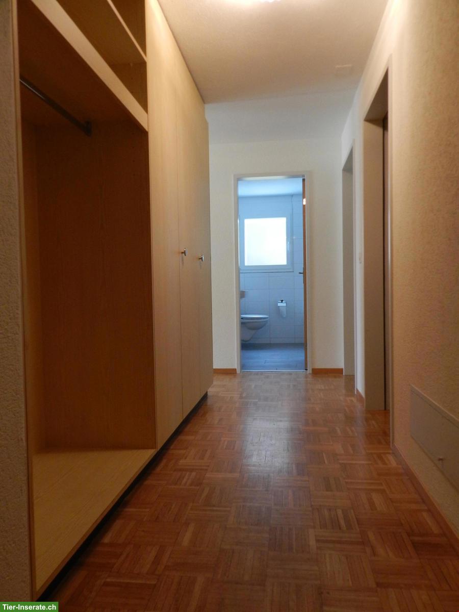 Bild 3: Katzenfreundliche 3.5 Zimmer Wohnung im EG, Aarwangen BE