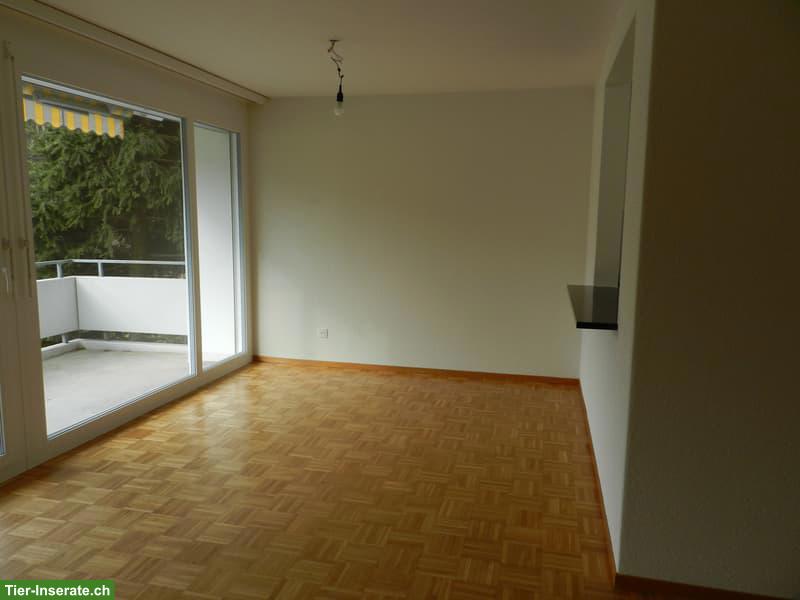 Bild 4: Katzenfreundliche 3.5 Zimmer Wohnung im EG, Aarwangen BE