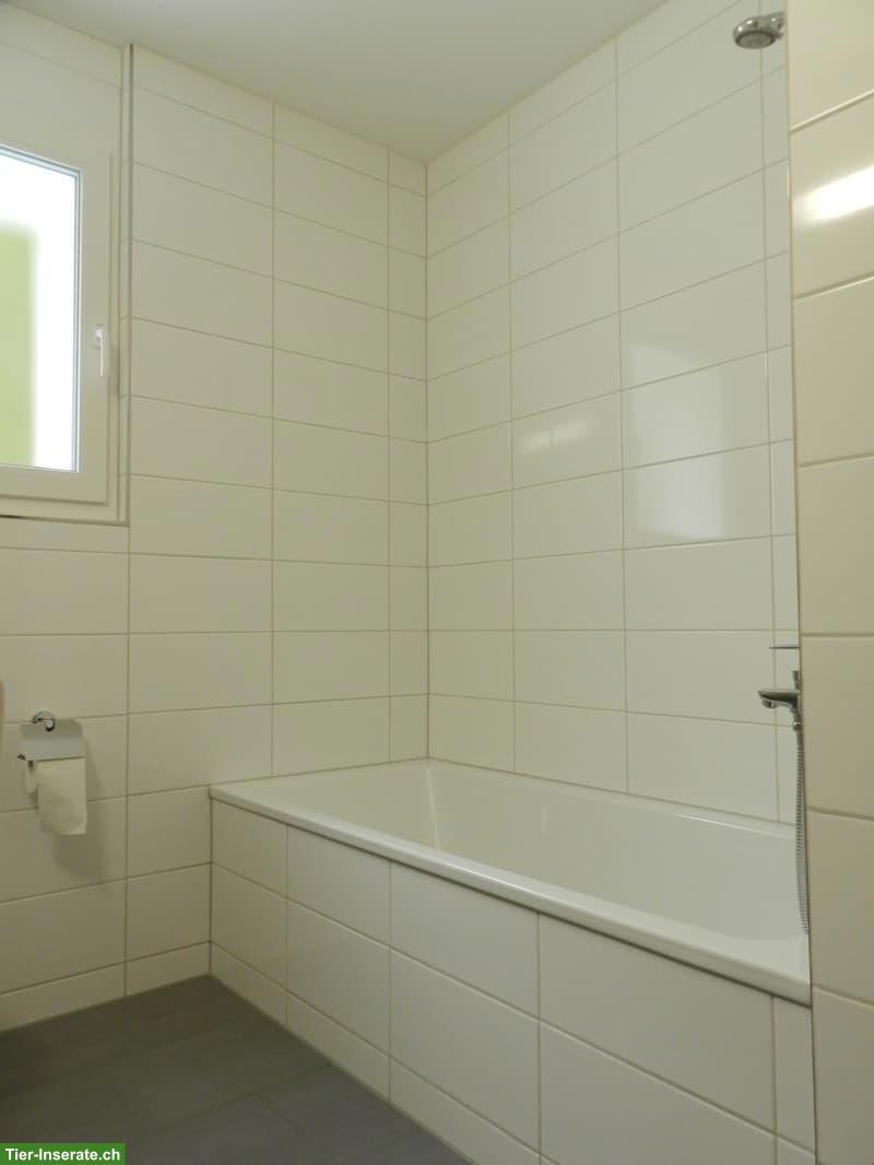 Bild 5: Katzenfreundliche 3.5 Zimmer Wohnung im EG, Aarwangen BE