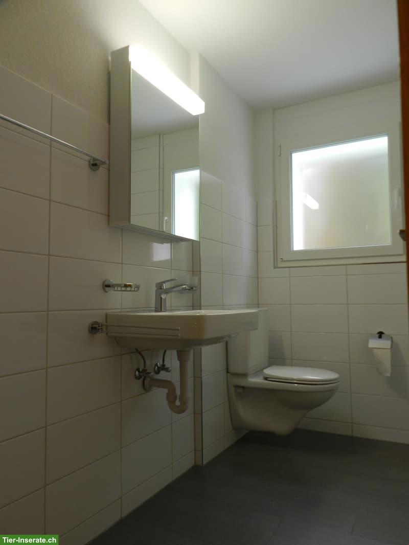 Bild 6: Katzenfreundliche 3.5 Zimmer Wohnung im EG, Aarwangen BE