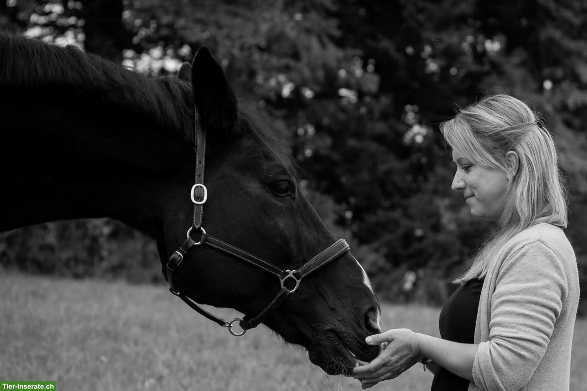 Seelenblüten-Ganzheitliche Tierenergetik für dein Tier