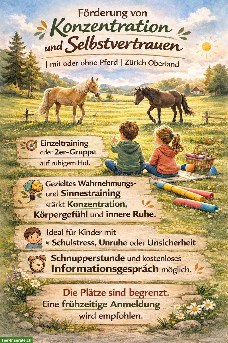 Lernen mit allen Sinnen - auf Hof im Zürich Oberland