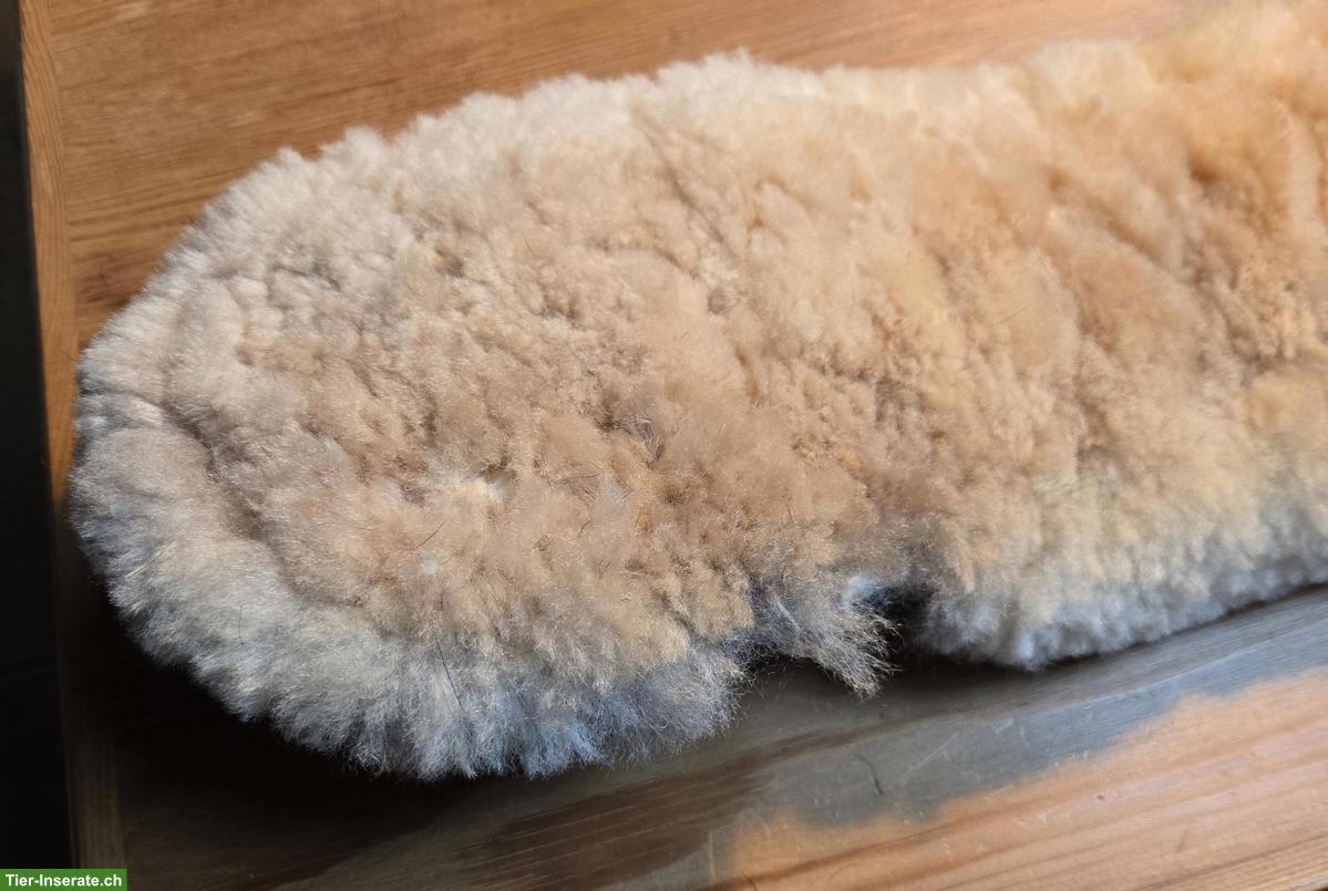 Bild 4: Diverse Western- und Englisch Reitartikel zu verkaufen