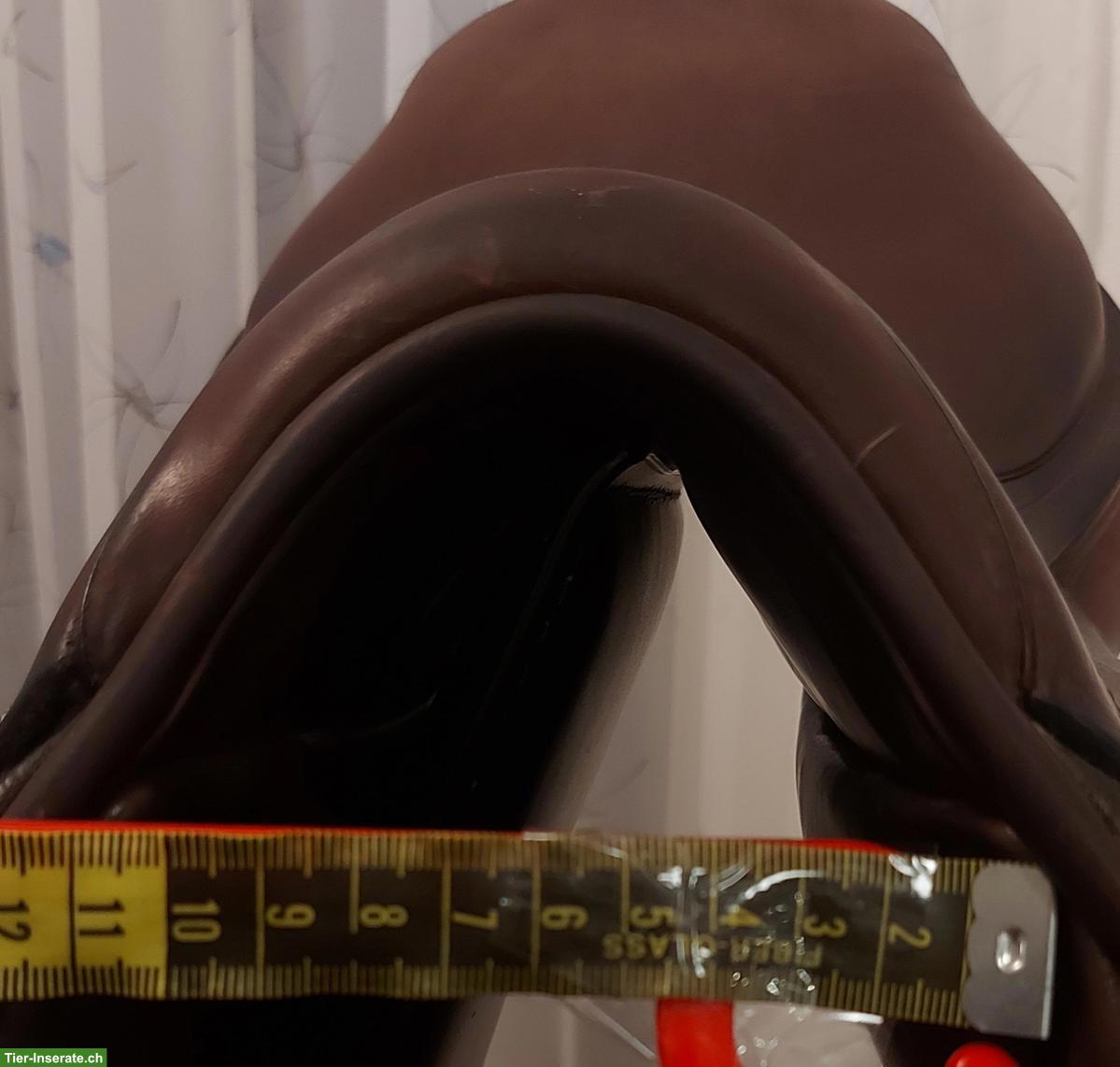 Bild 5: Amerigo Springsattel zu verkaufen