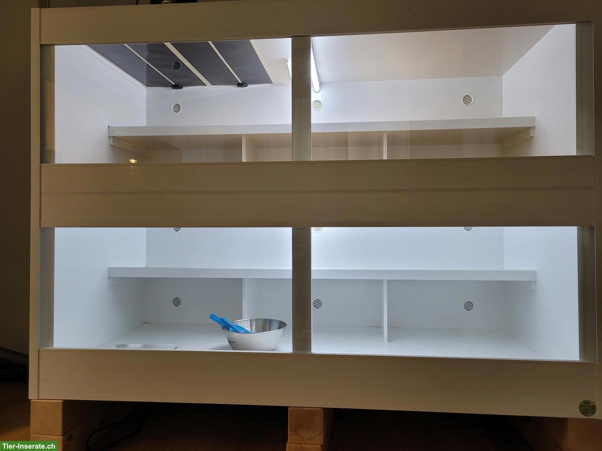 Doppelterrarium Lanzo Herp zu verkaufen