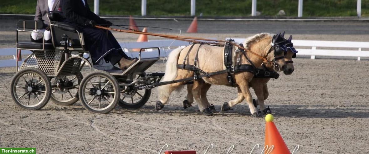 Ponywagen „Chester“ 1- und 2-spännig