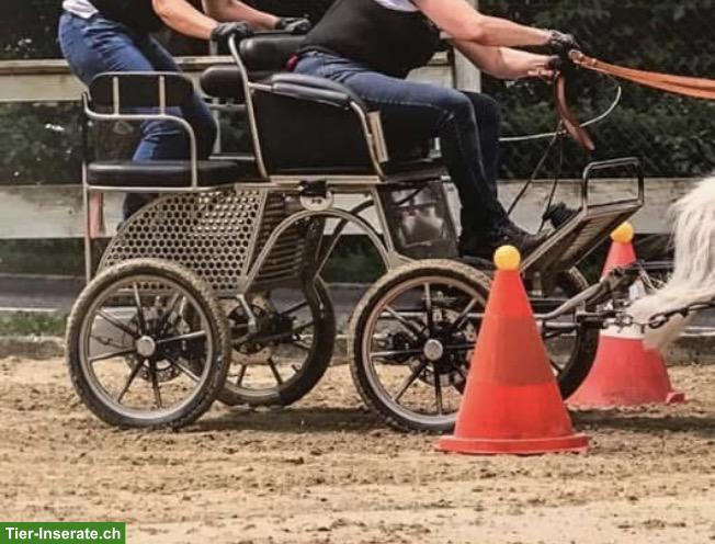 Bild 2: Ponywagen „Chester“ 1- und 2-spännig