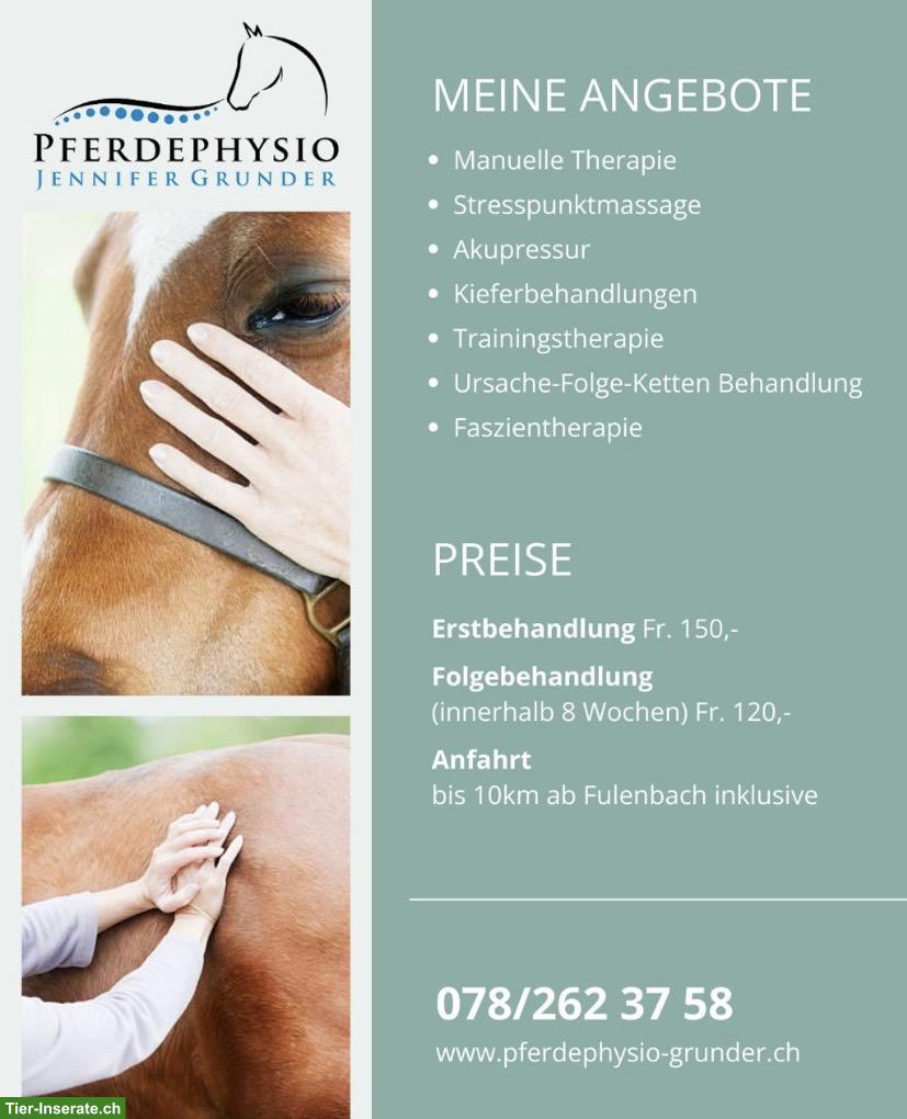 Biete Pferdephysiotherapie