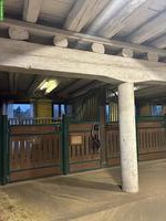 Auslaufbox / Offenstallplatz,  Kanton Bern