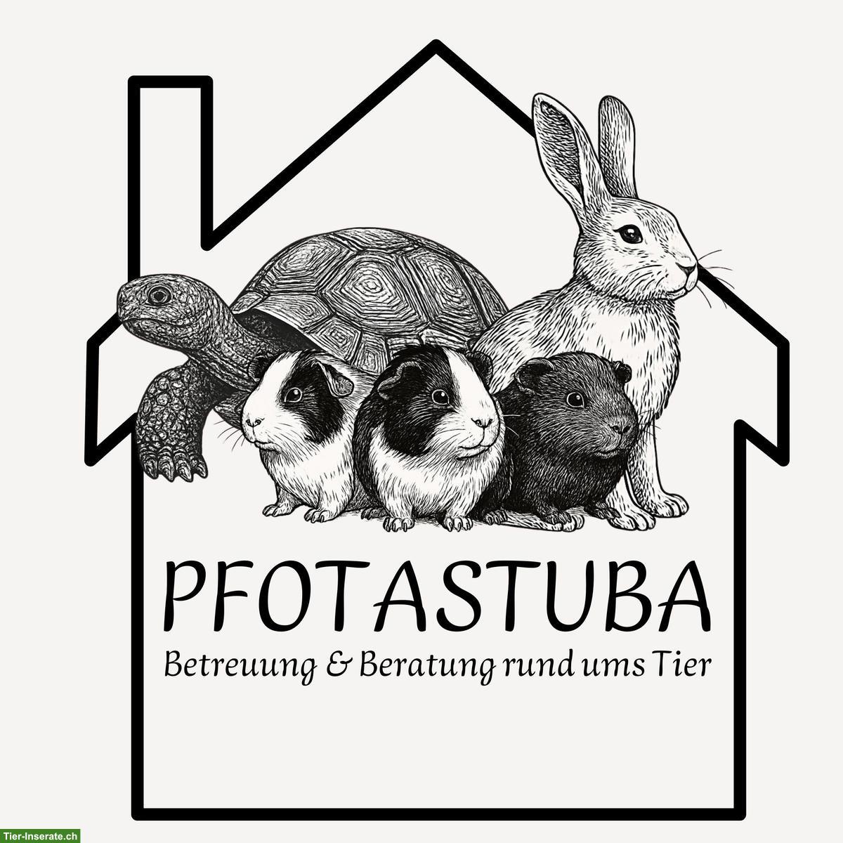 Bild 5: Pfotastuba | Liebevolle Meerschweinchenbetreuung