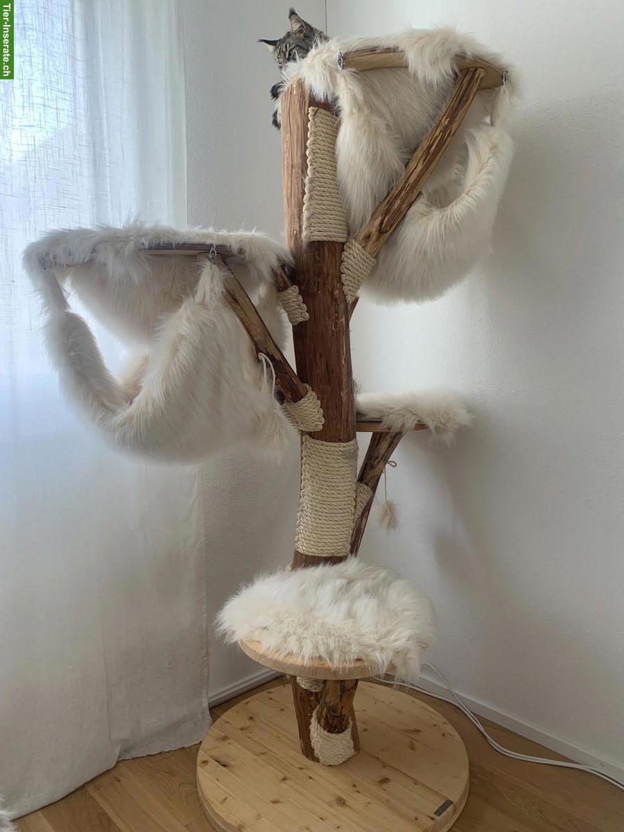 Holz-Katzenbaum Nature Living Crème