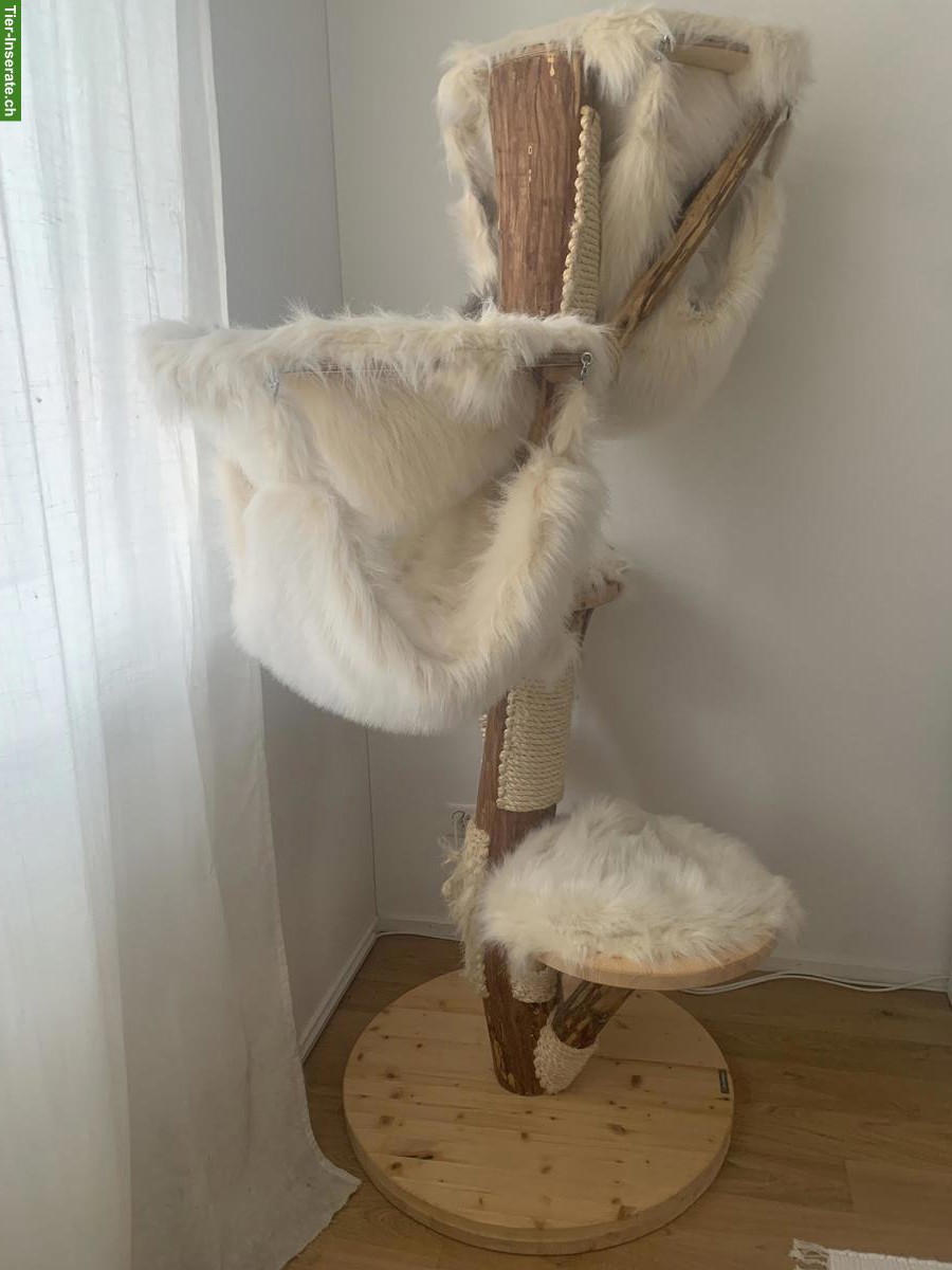 Bild 2: Holz-Katzenbaum Nature Living Crème