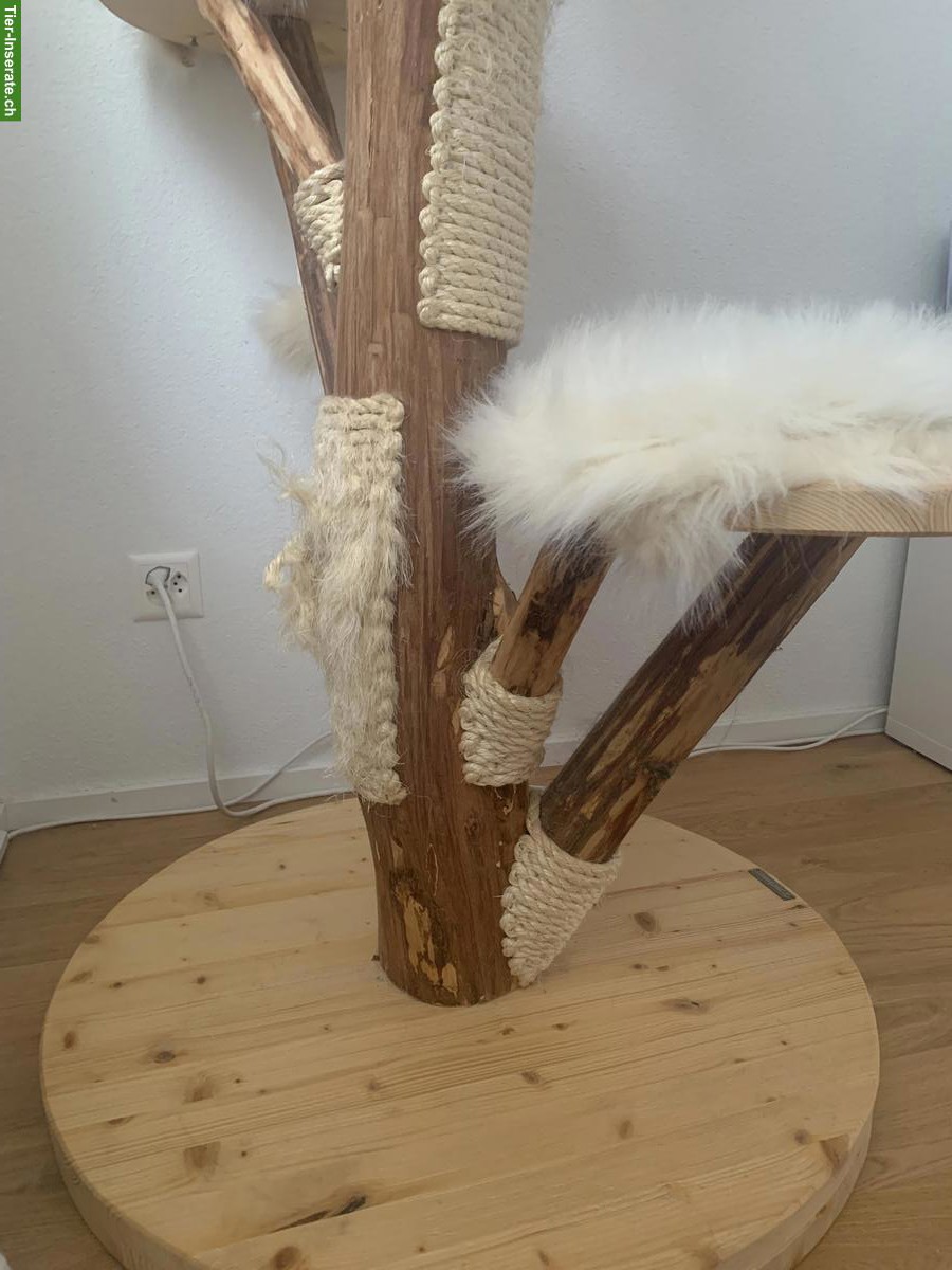 Bild 3: Holz-Katzenbaum Nature Living Crème