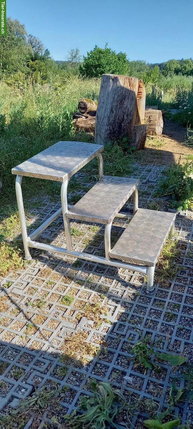 Aufstiegstreppe zu verkaufen