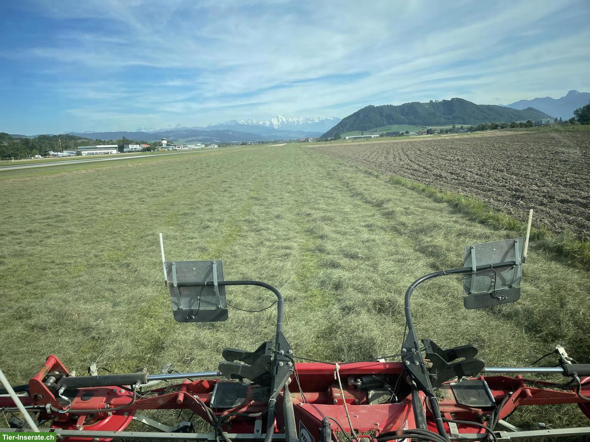 Extensives Heu zu verkaufen, ideal für Pferde mit Kotwasser