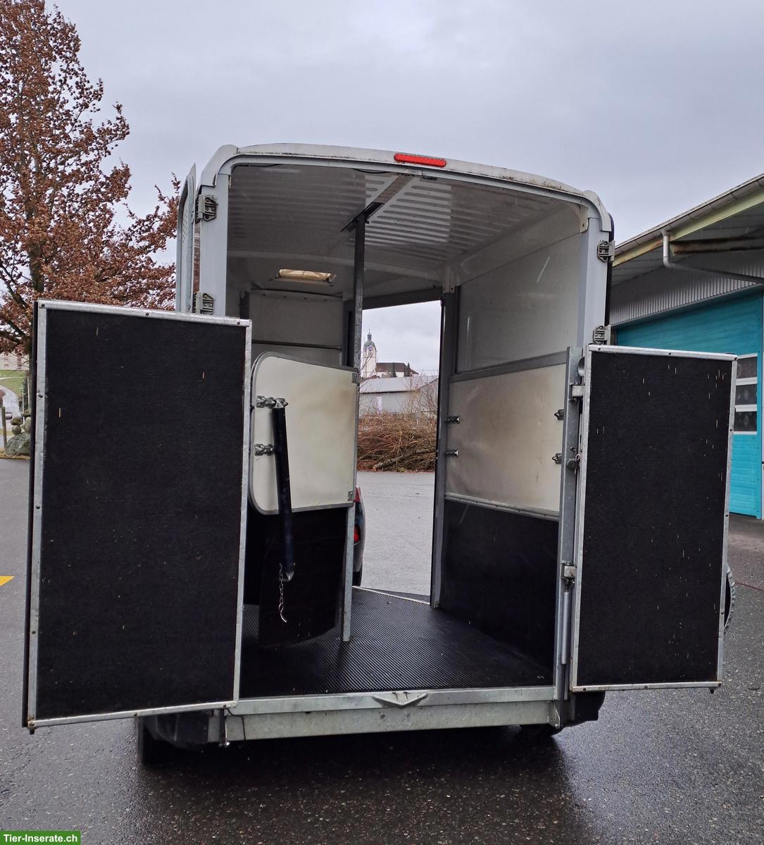 Bild 3: Pferdeanhänger Ifor Williams HB506 zu verkaufen