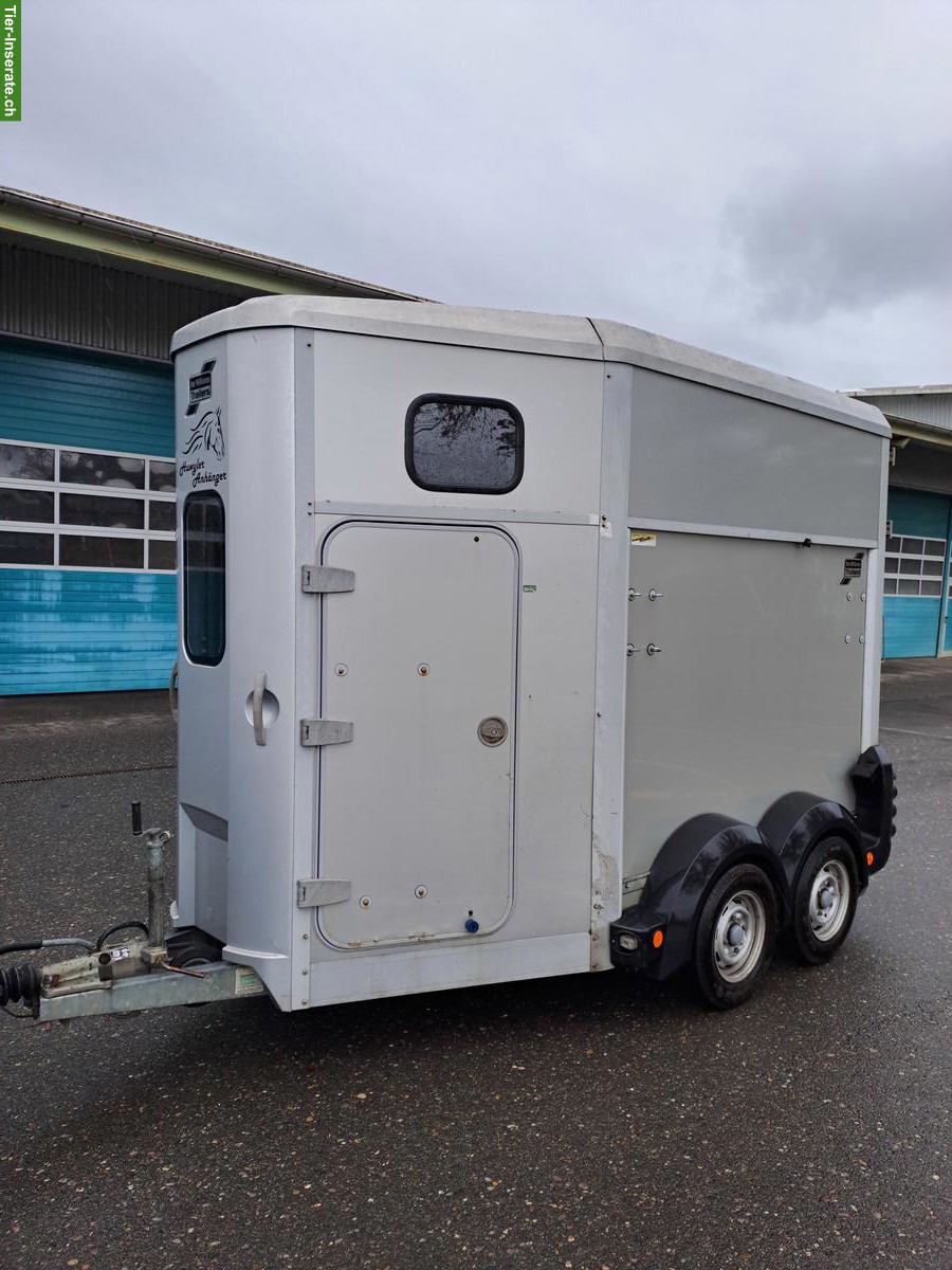Bild 5: Pferdeanhänger Ifor Williams HB506 zu verkaufen