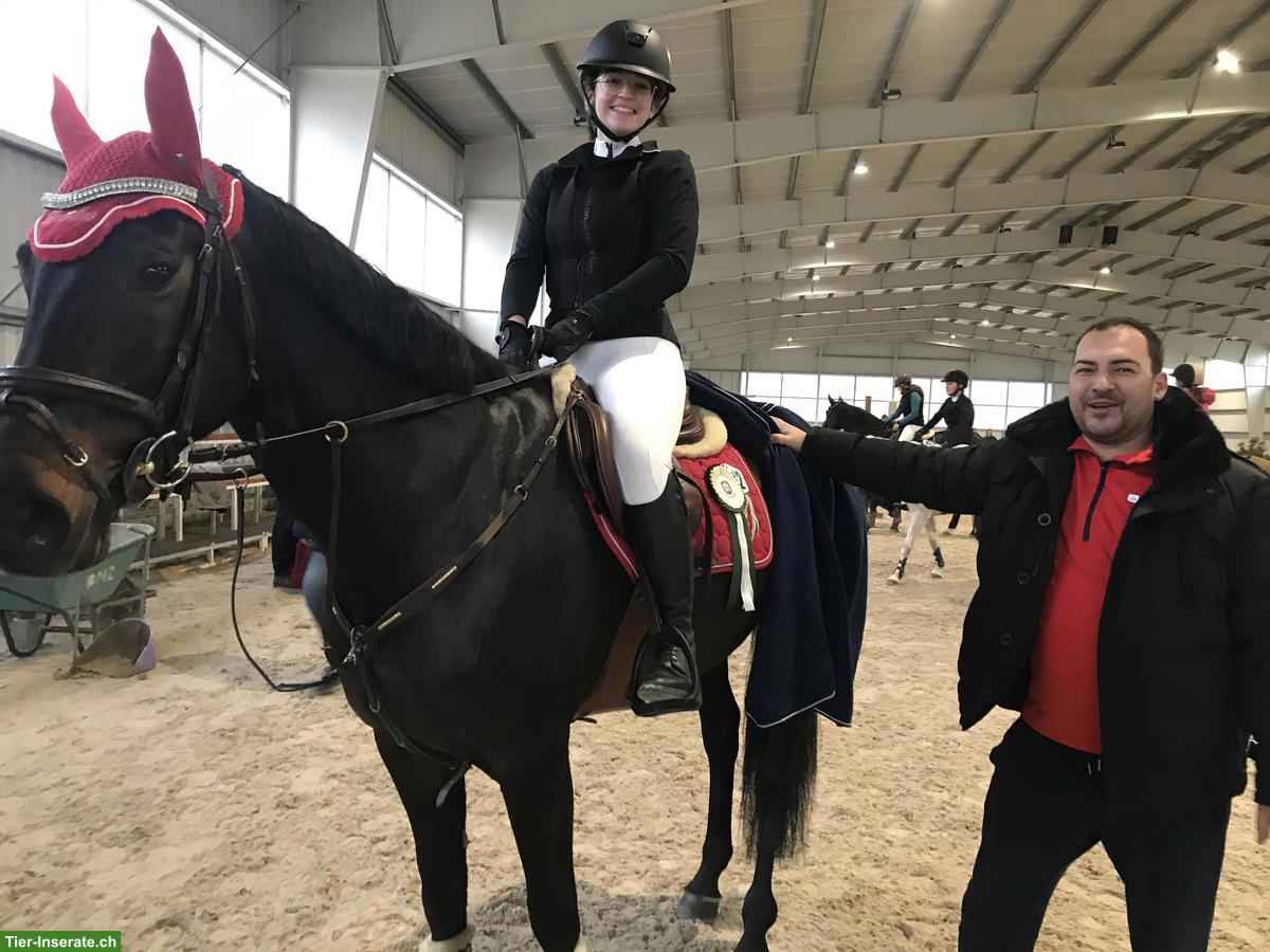 Bild 8: Biete individuelles Training für Springpferde