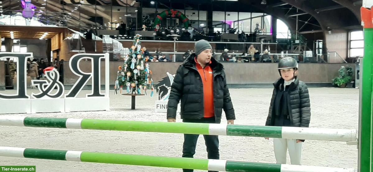 Bild 9: Biete individuelles Training für Springpferde