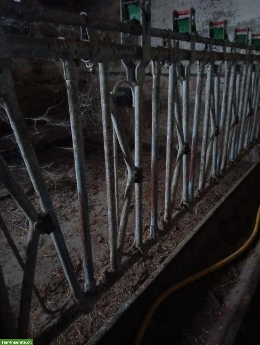 Ziegenfressgitter (selbstfang) 14 Plätze zu verkaufen