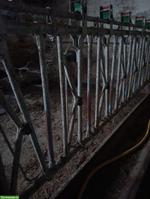 Ziegenfressgitter (selbstfang) 14 Plätze zu verkaufen