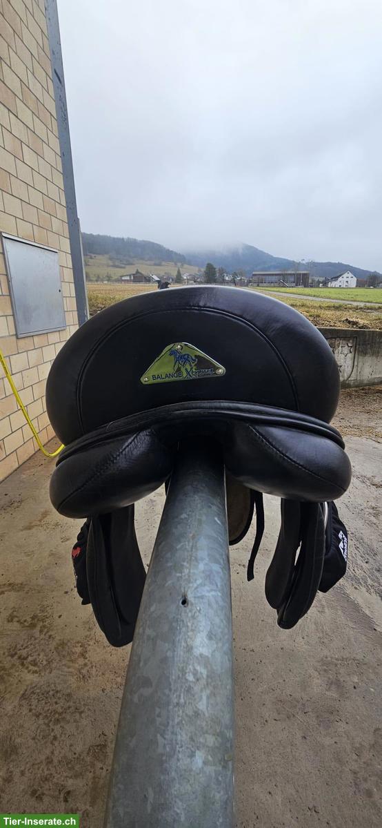 Bild 3: Balance Dressursattel, Sitz C, Weite 3