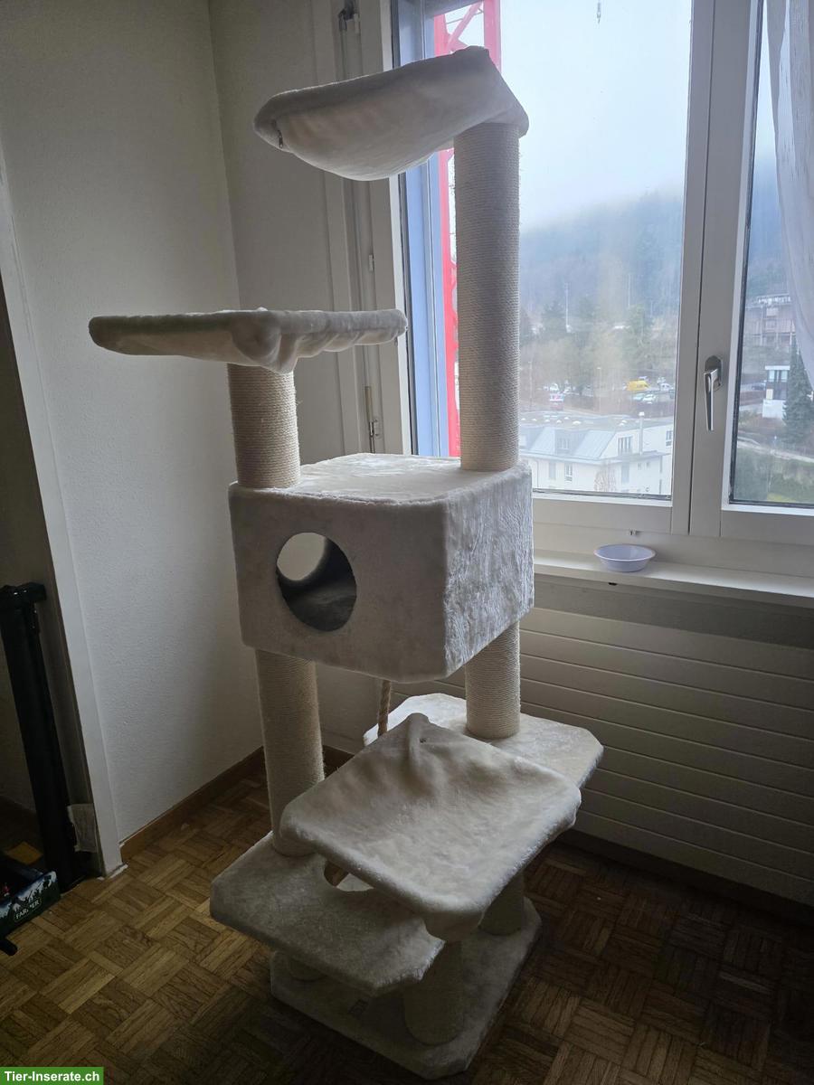 Petrebels Katzenbaum, für grössere Katzen geeignet