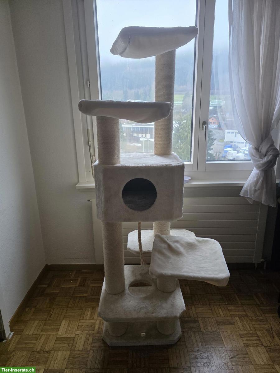 Bild 2: Petrebels Katzenbaum, für grössere Katzen geeignet