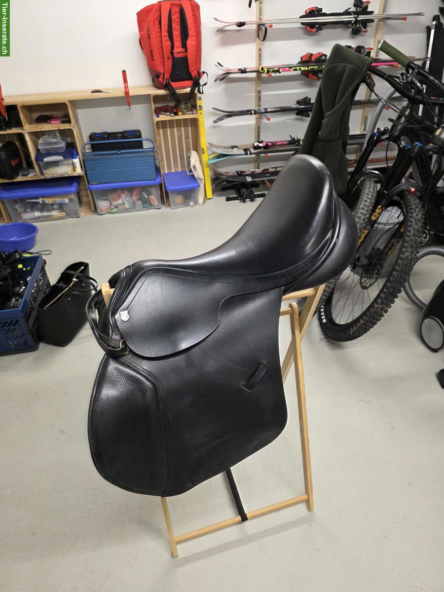 Springsattel Greenfield Saddlery 17 Zoll zu verkaufen