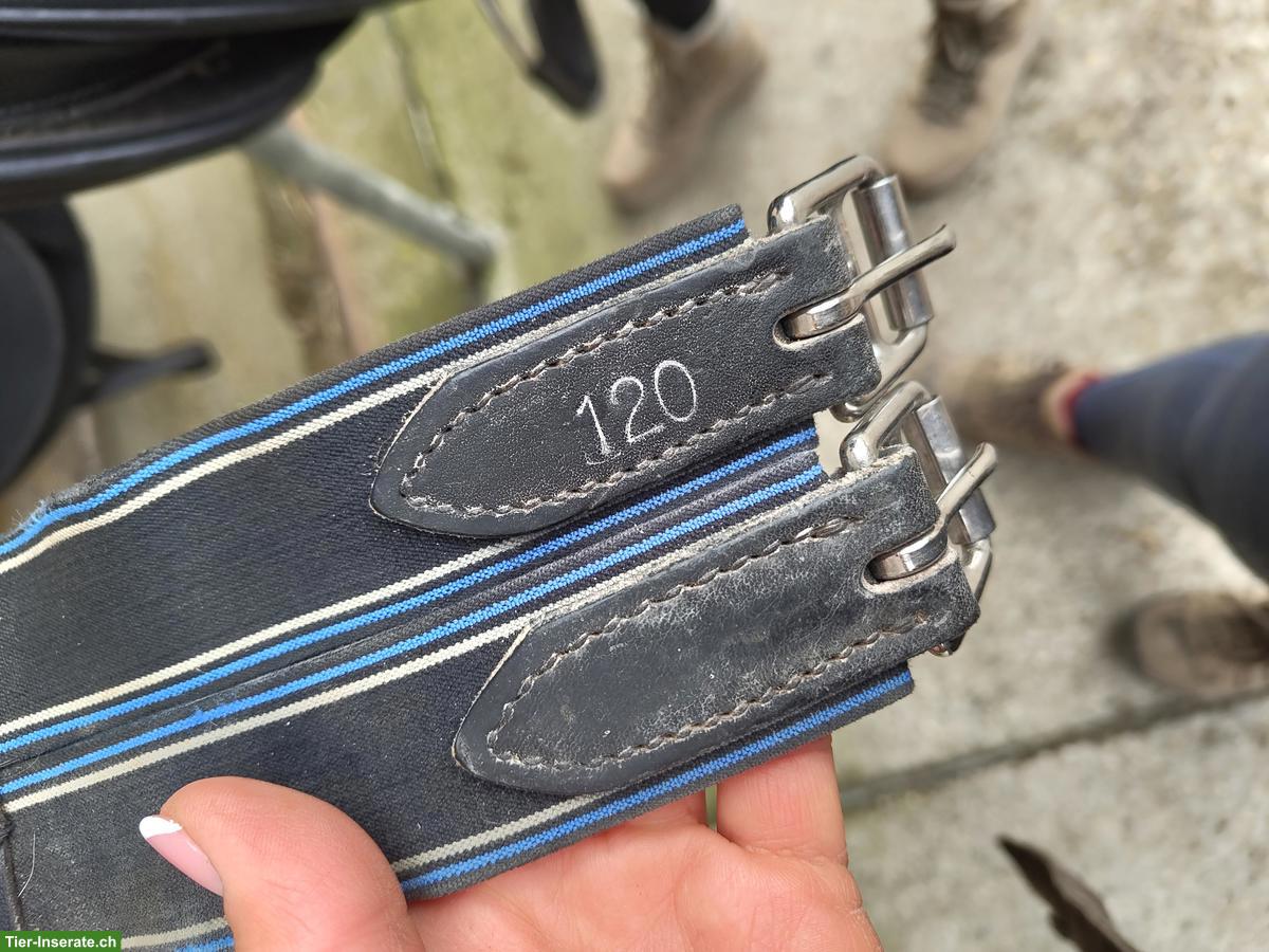 Bild 6: Balance Sattel NEXUS Dressur zu verkaufen