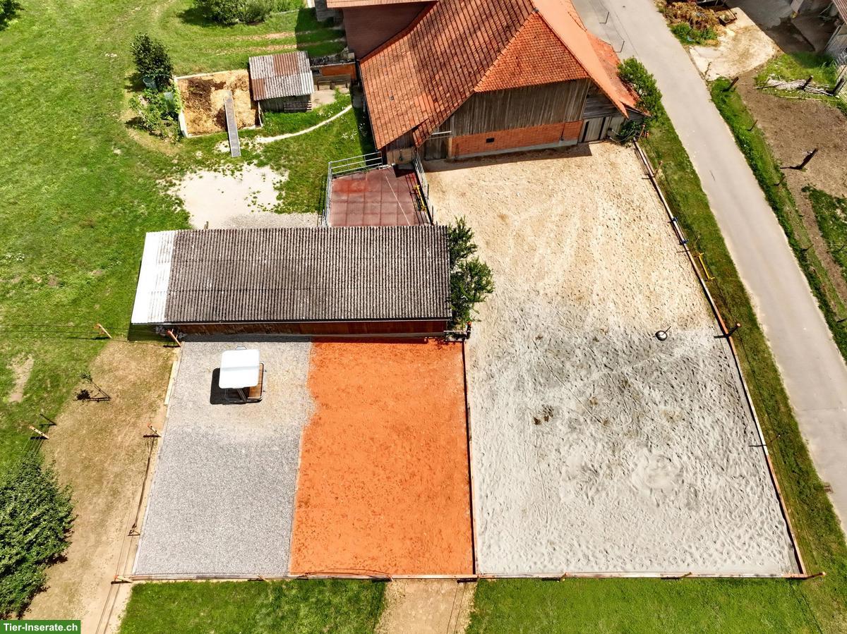 Bild 3: Stallplatz frei in Kriechenwil für teamfähiges Pferd-Mensch-Duo