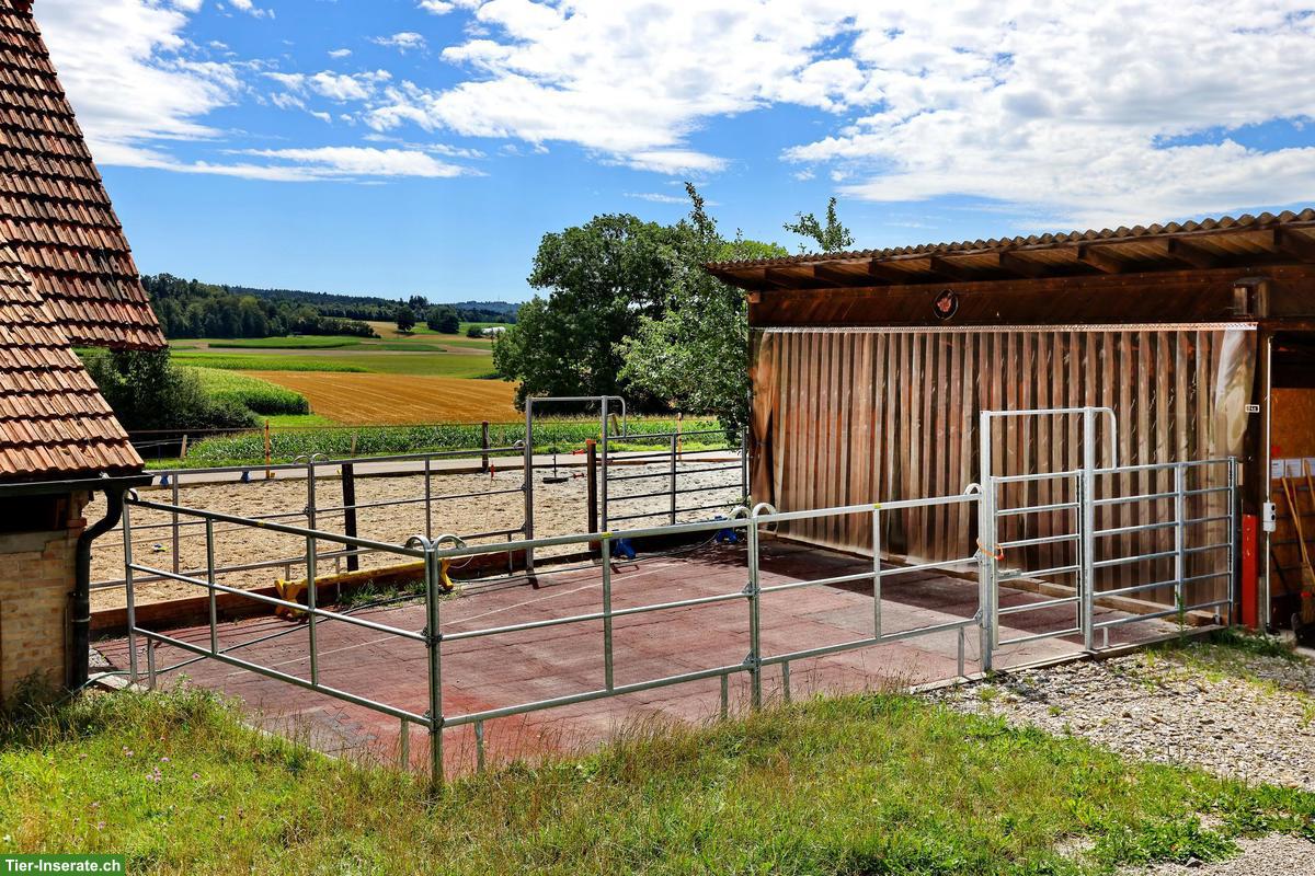 Bild 4: Stallplatz frei in Kriechenwil für teamfähiges Pferd-Mensch-Duo