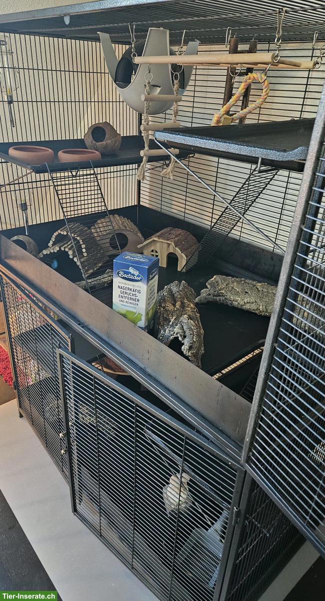 Nager-Kleintierkäfig / Nagervoliere zu verkaufen