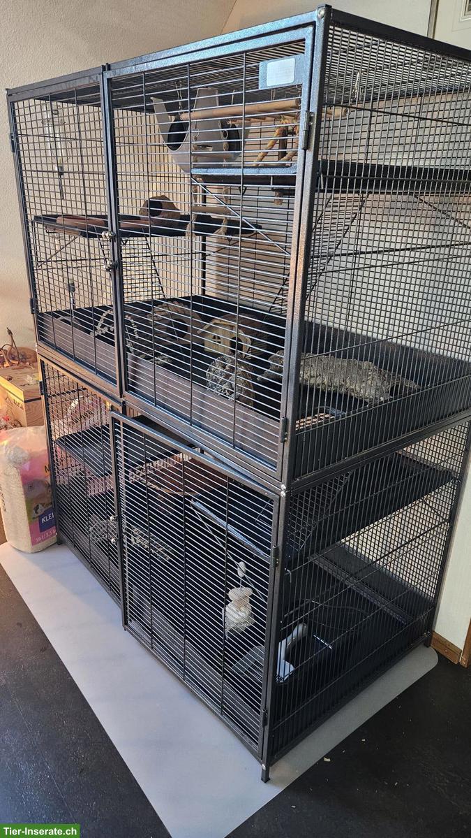 Bild 2: Nager-Kleintierkäfig / Nagervoliere zu verkaufen