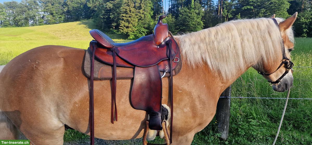 Deuber & Partner Westernsattel für Kleinpferde, 17.5 Zoll