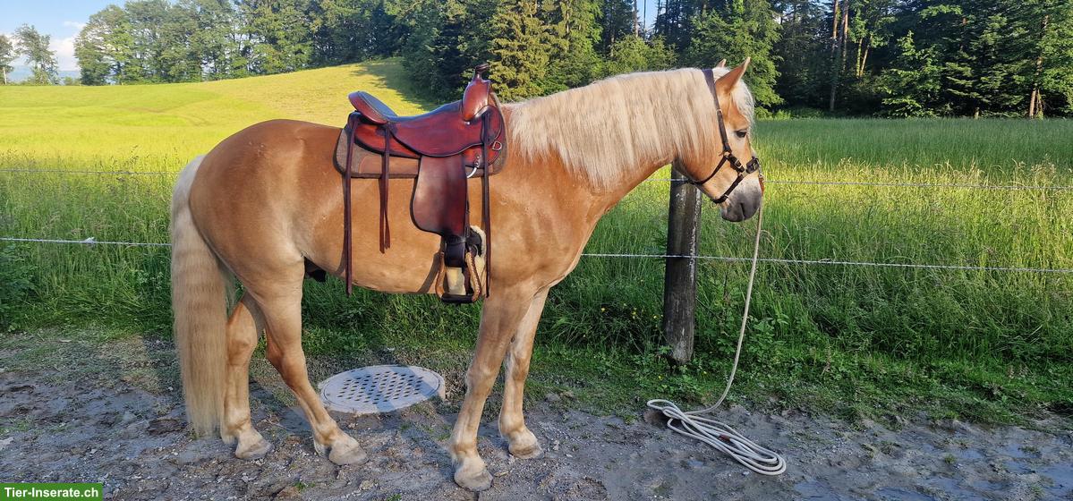 Bild 4: Deuber & Partner Westernsattel für Kleinpferde, 17.5 Zoll