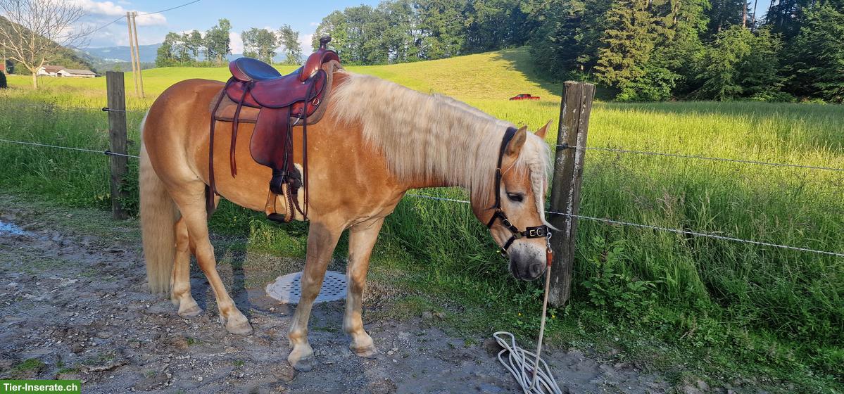 Bild 5: Deuber & Partner Westernsattel für Kleinpferde, 17.5 Zoll