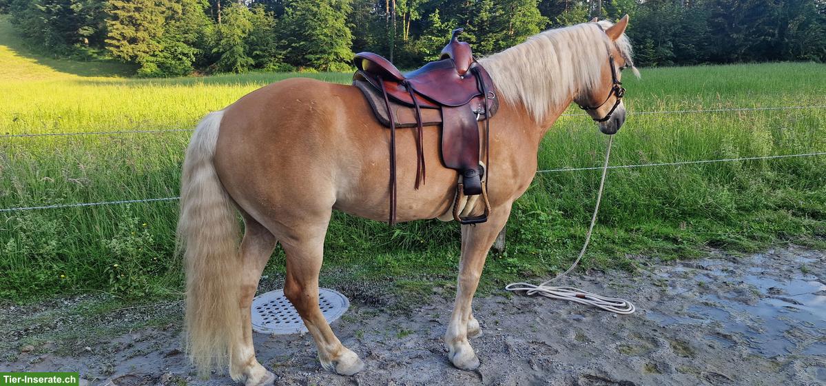 Bild 8: Deuber & Partner Westernsattel für Kleinpferde, 17.5 Zoll