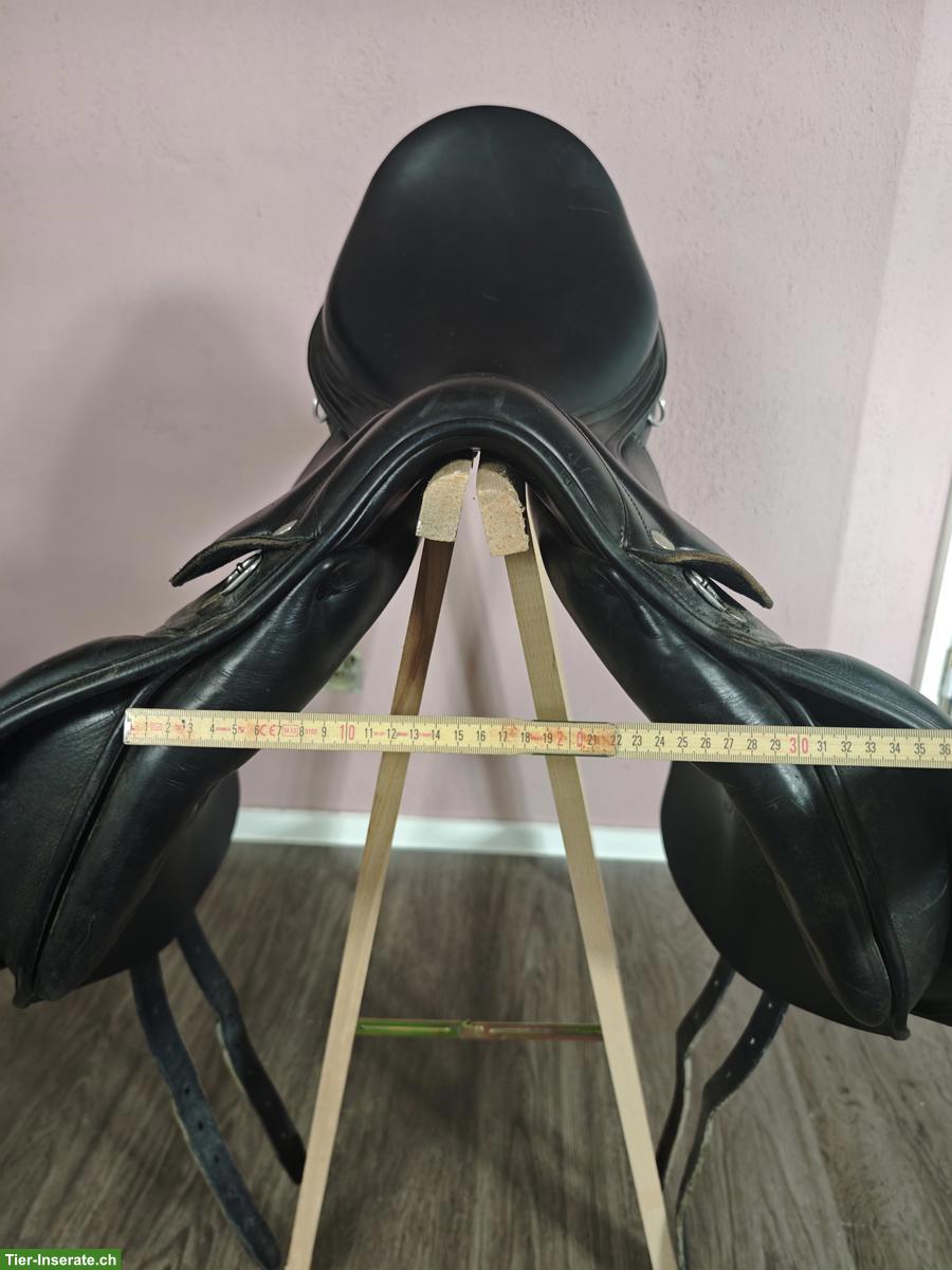 Bild 6: Amerigo Pinerolo VSD 17.5 Zoll, BREIT (M+3.5), Freiberger/Kaltblut