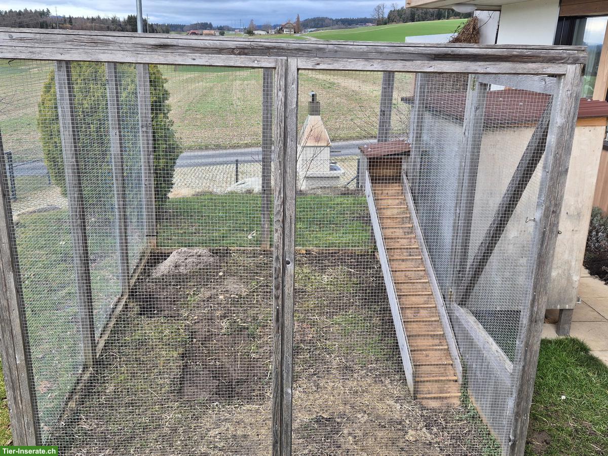 Bild 5: Kleintierstall mit Auslauf zu verkaufen