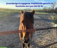 Suchen engagierte Praktikantin 30-50% in der Nähe von Lyss